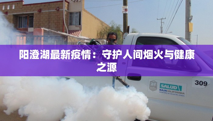 阳澄湖最新疫情：守护人间烟火与健康之源