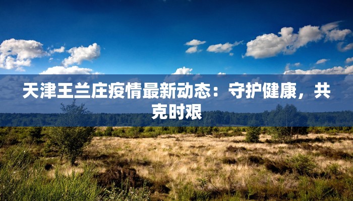 天津王兰庄疫情最新动态：守护健康，共克时艰