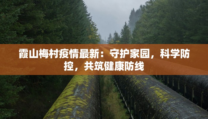 霞山梅村疫情最新：守护家园，科学防控，共筑健康防线