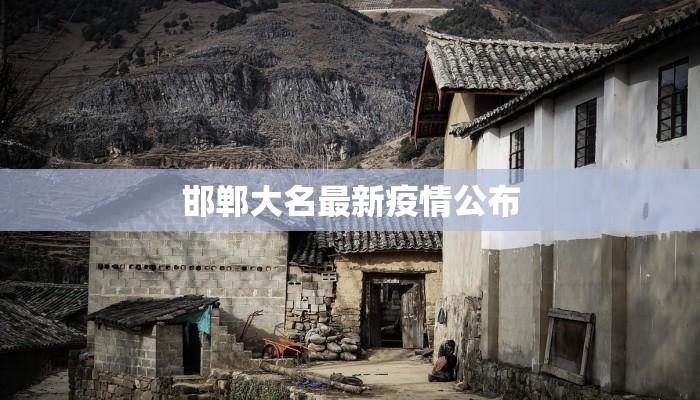 邯郸大名最新疫情公布