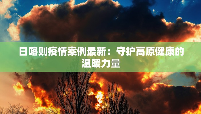 日喀则疫情案例最新：守护高原健康的温暖力量
