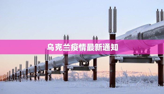 郑州最新疫情特点