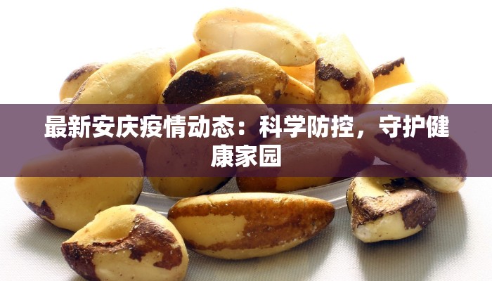 赤峰疫情最新情况敖汉：守护家园的温暖力量