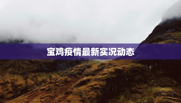 宝鸡疫情最新实况动态