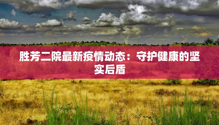 胜芳二院最新疫情动态：守护健康的坚实后盾