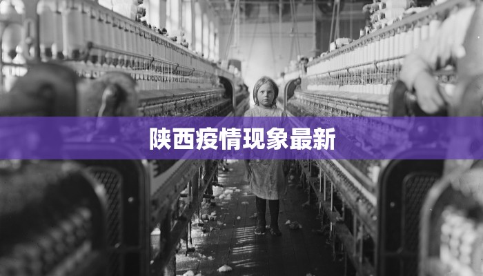 陕西疫情现象最新 陕西疫情现象最新