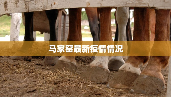 流金家园最新疫情：守护健康家园的温暖之旅