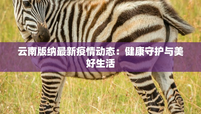 全国疫情等级风险最新