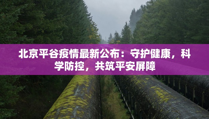 龙冈疫情最新通告