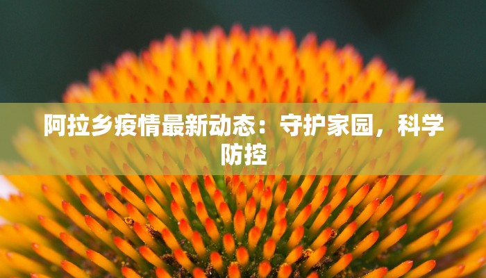 阿拉乡疫情最新动态：守护家园，科学防控