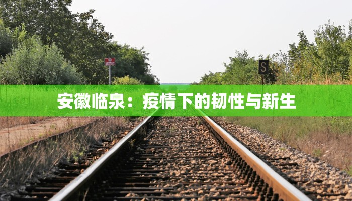 安徽临泉:疫情下的韧性与新生 安徽临泉:疫情下的韧性与新生