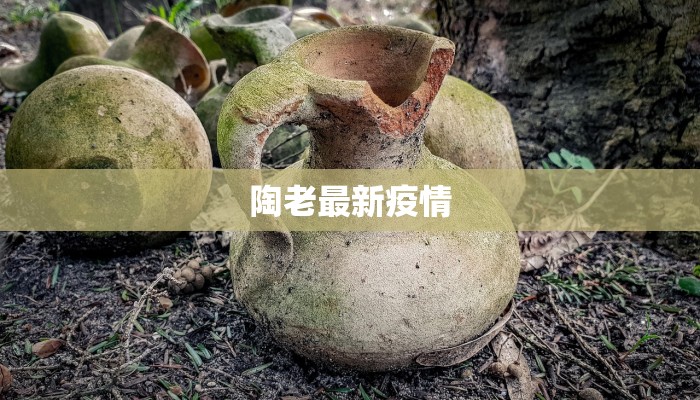 苏州疫情最新捐款：爱心涌动，共克时艰