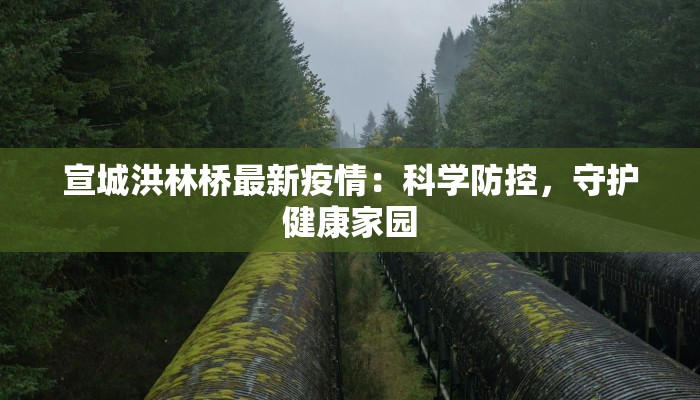 宣城洪林桥最新疫情：科学防控，守护健康家园