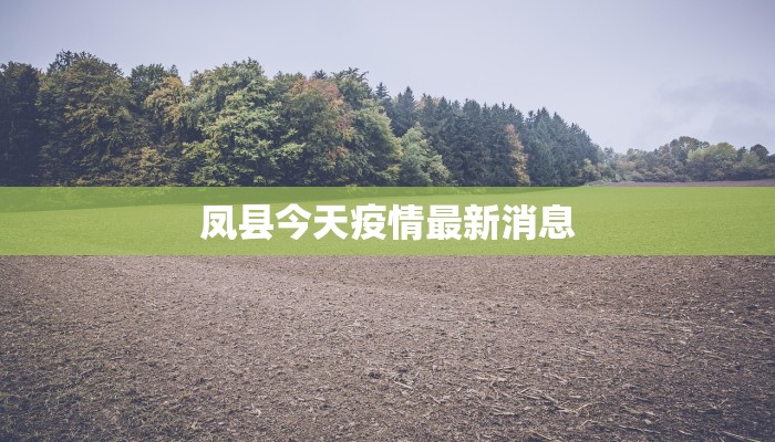 云南疫情最新情报