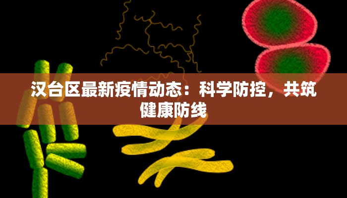 汉台区最新疫情动态：科学防控，共筑健康防线