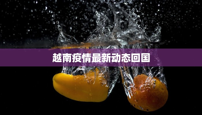 越南疫情最新动态回国 越南疫情最新动态回国