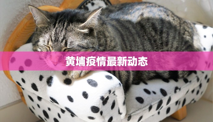 黄埔疫情最新动态