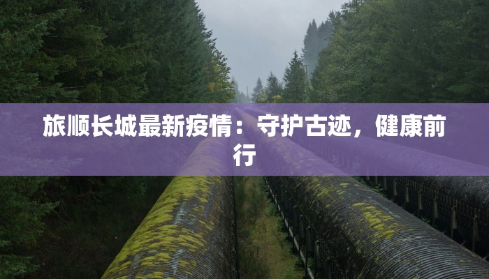 旅顺长城最新疫情：守护古迹，健康前行