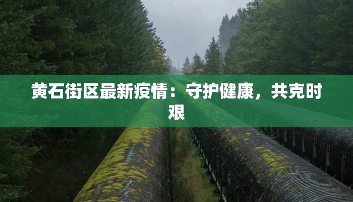 黄石街区最新疫情：守护健康，共克时艰
