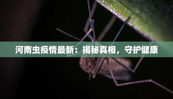 马里疫情最新公告