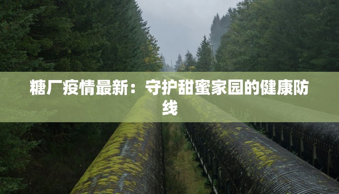 营口最新疫情解封：重启活力，拥抱新生