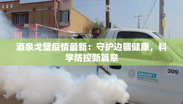 酒泉戈壁疫情最新：守护边疆健康，科学防控新篇章