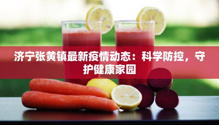 济宁张黄镇最新疫情动态：科学防控，守护健康家园