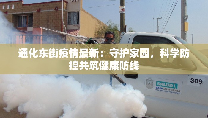通化东街疫情最新：守护家园，科学防控共筑健康防线