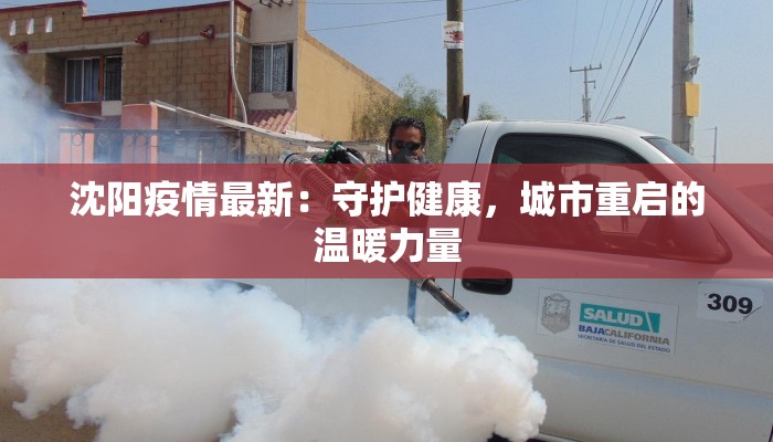 沈阳疫情最新：守护健康，城市重启的温暖力量