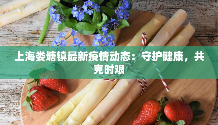上海娄塘镇最新疫情动态：守护健康，共克时艰