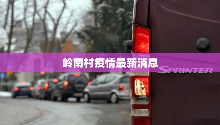 岭南村疫情最新消息