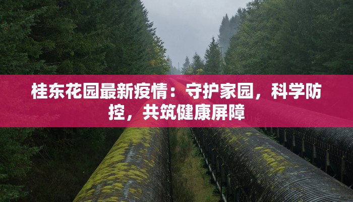 寿光疫情评论最新：守护家园，共克时艰
