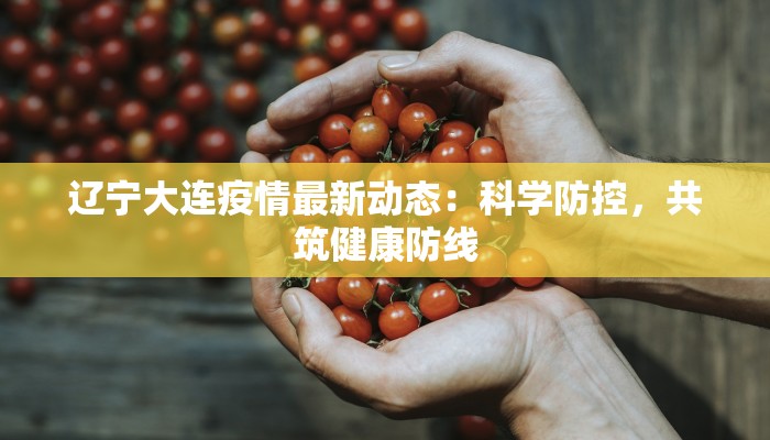 辽宁大连疫情最新动态：科学防控，共筑健康防线