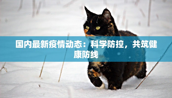 龙飞山城最新疫情：守护健康，共克时艰