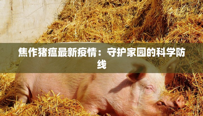 项城最新疫情：科学防控，守护健康家园