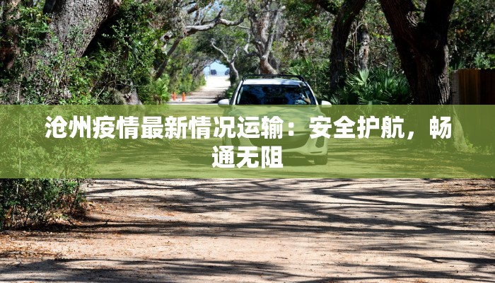 沧州疫情最新情况运输：安全护航，畅通无阻