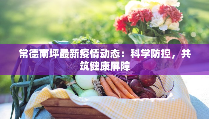 常德南坪最新疫情动态：科学防控，共筑健康屏障