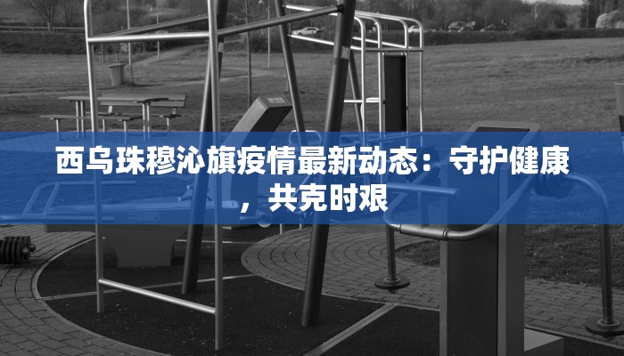 西乌珠穆沁旗疫情最新动态：守护健康，共克时艰