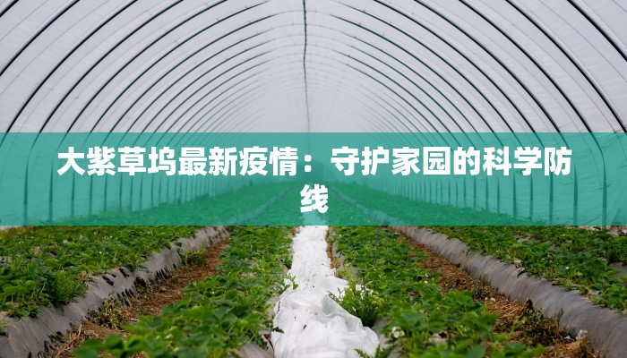 大紫草坞最新疫情：守护家园的科学防线