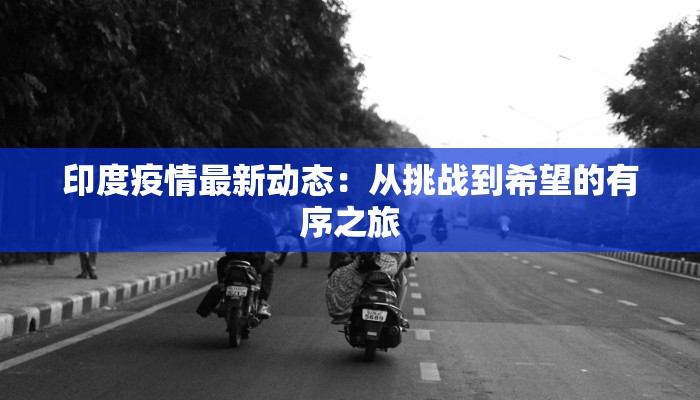 印度疫情最新动态：从挑战到希望的有序之旅