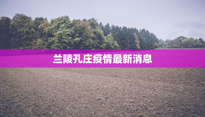 兰陵孔庄疫情最新消息