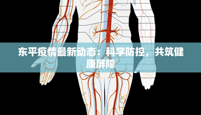 琼山疫情最新：科学防控，共筑健康屏障