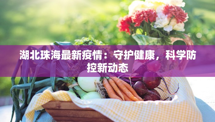 湖北珠海最新疫情：守护健康，科学防控新动态