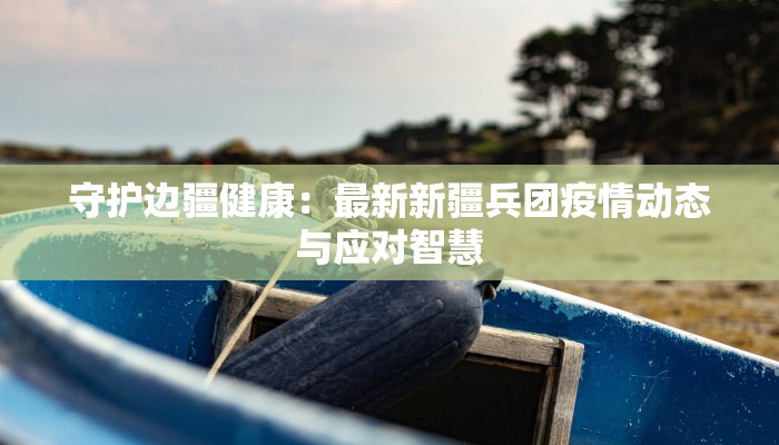 守护边疆健康：最新新疆兵团疫情动态与应对智慧