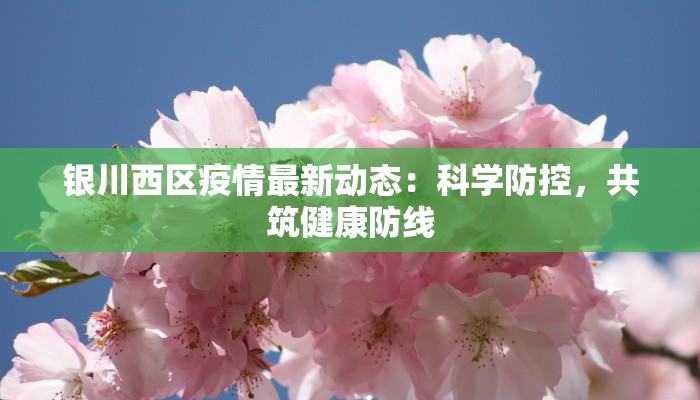 浪琴居最新疫情：守护健康，优雅相伴