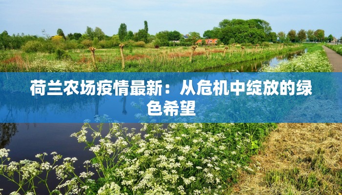 荷兰农场疫情最新：从危机中绽放的绿色希望