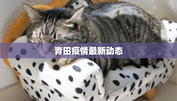 青田疫情最新动态