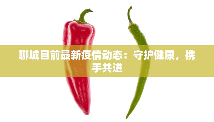 聊城目前最新疫情动态：守护健康，携手共进