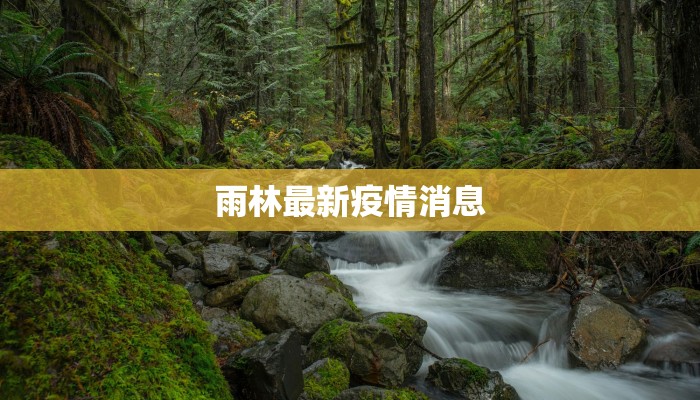 雨林最新疫情消息