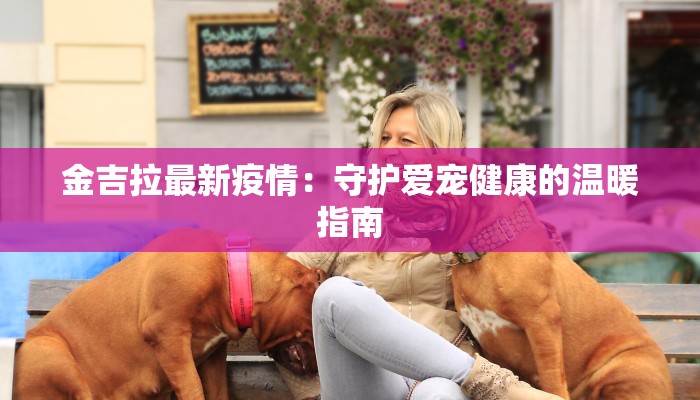 金吉拉最新疫情：守护爱宠健康的温暖指南
